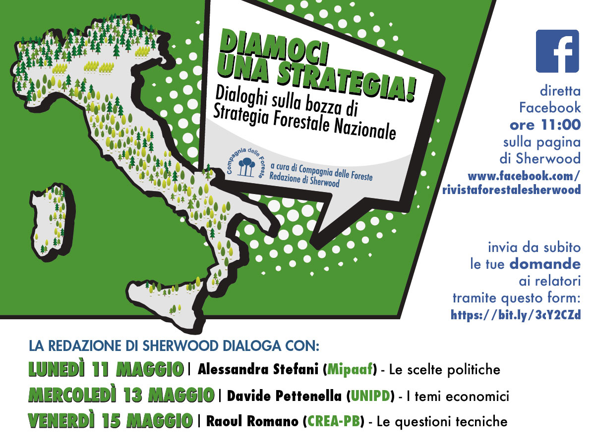 regionepiemonte's tweet photo. Tre incontri online (11, 13, 15 maggio) su https://t.co/GhxjIH8yvF per approfondire il documento Strategia Forestale Nazionale per il settore #forestale. Vai su📌 https://t.co/5tYWFa4r4C #forestepiemonte https://t.co/NQ9uk09Alw