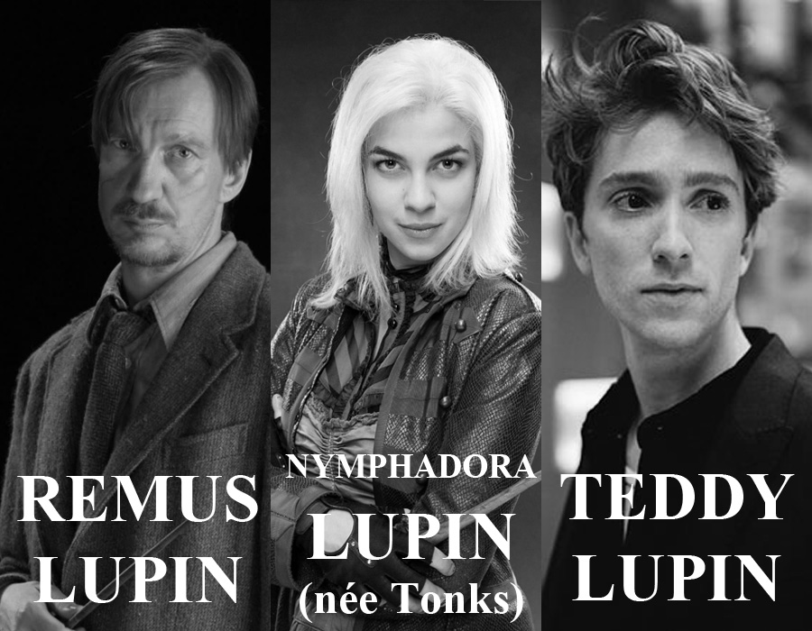Nymphadora Tonks And Remus Lupin