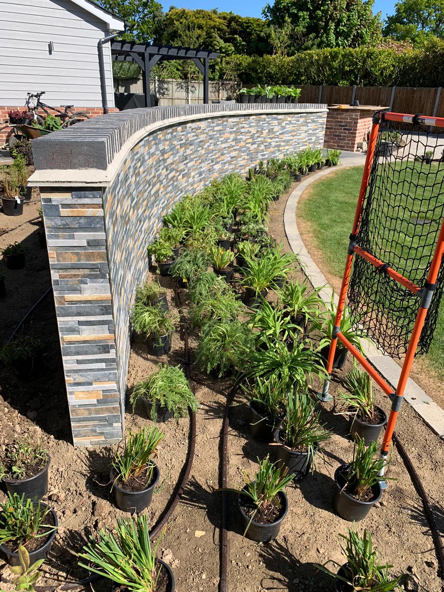 llevelogd's tweet photo. Plants have now all been set out (by one person) at this garden near Colchester, Essex #planting #gardendesign #gardentransformation https://t.co/WqmC07cAxR