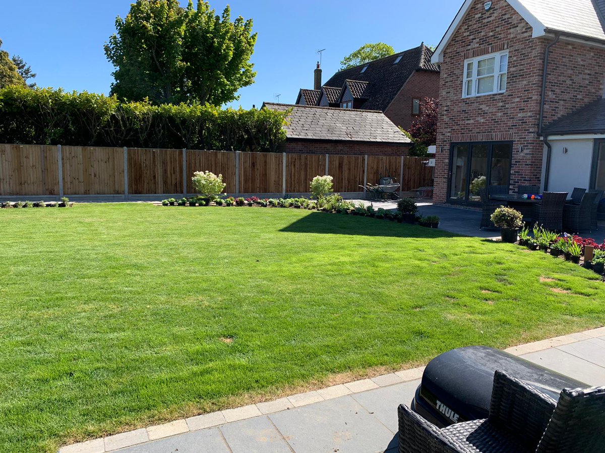 llevelogd's tweet photo. Plants have now all been set out (by one person) at this garden near Colchester, Essex #planting #gardendesign #gardentransformation https://t.co/WqmC07cAxR