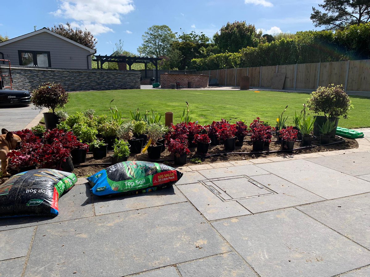 llevelogd's tweet photo. Plants have now all been set out (by one person) at this garden near Colchester, Essex #planting #gardendesign #gardentransformation https://t.co/WqmC07cAxR
