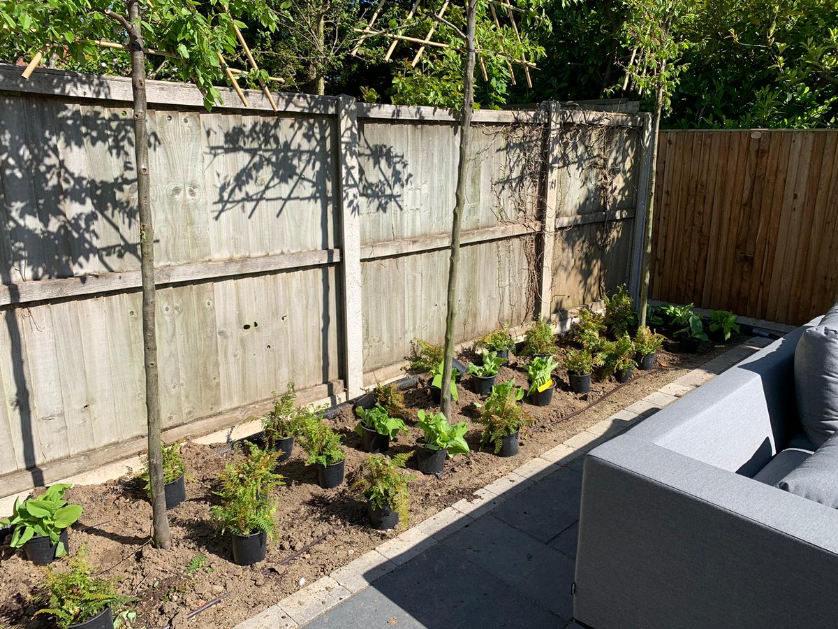 llevelogd's tweet photo. Plants have now all been set out (by one person) at this garden near Colchester, Essex #planting #gardendesign #gardentransformation https://t.co/WqmC07cAxR