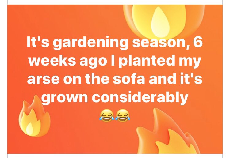 #COVID19 #caronavirus2020 #gardening #lockdown