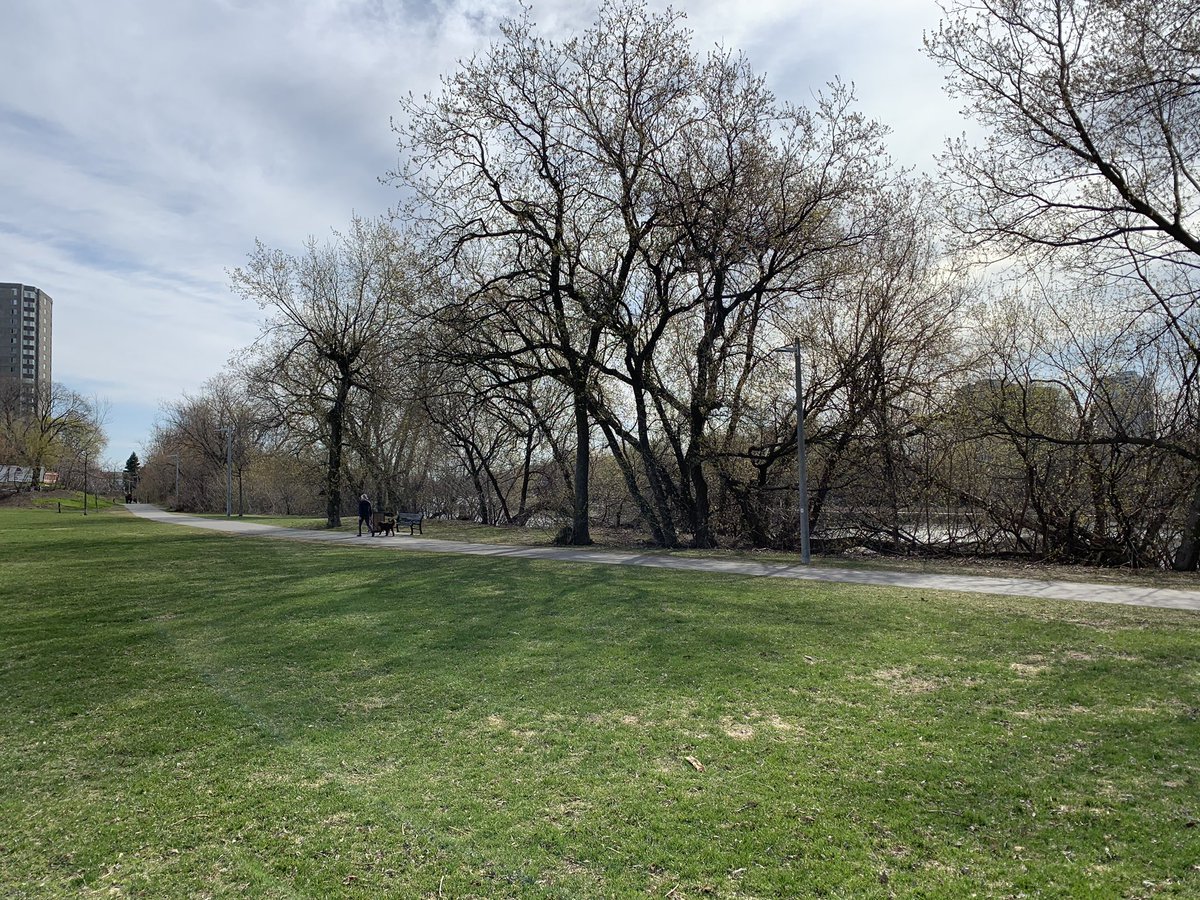 alexlaq's tweet photo. It makes me mad to think that at some point, the @ottawacity will turn this park into a highway interchange. #hospitallink https://t.co/JkLkjyvVn6