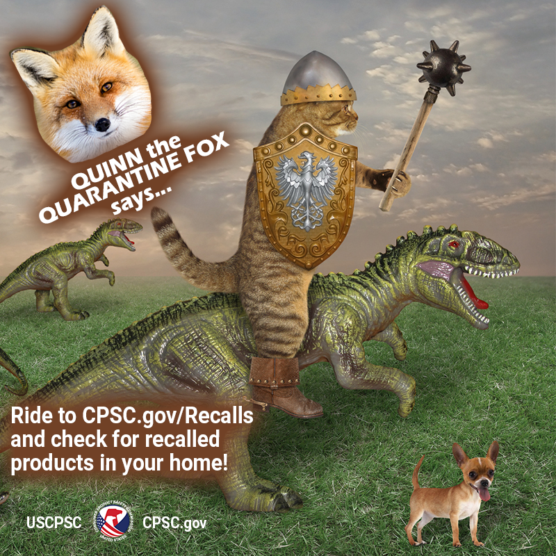 A cat riding a dinosaur with a tiny dog. Quinn the Quarantine Fox is there. Ride to CPSC.gov/Recalls and check for recalled products in your home.