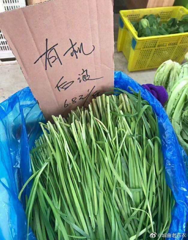 SFAC_19491001's tweet photo. 这届后浪不好好做自己的本职工作，白嫖战🐦🐦的光点怎么行 https://t.co/i6IlZ8l2uW
