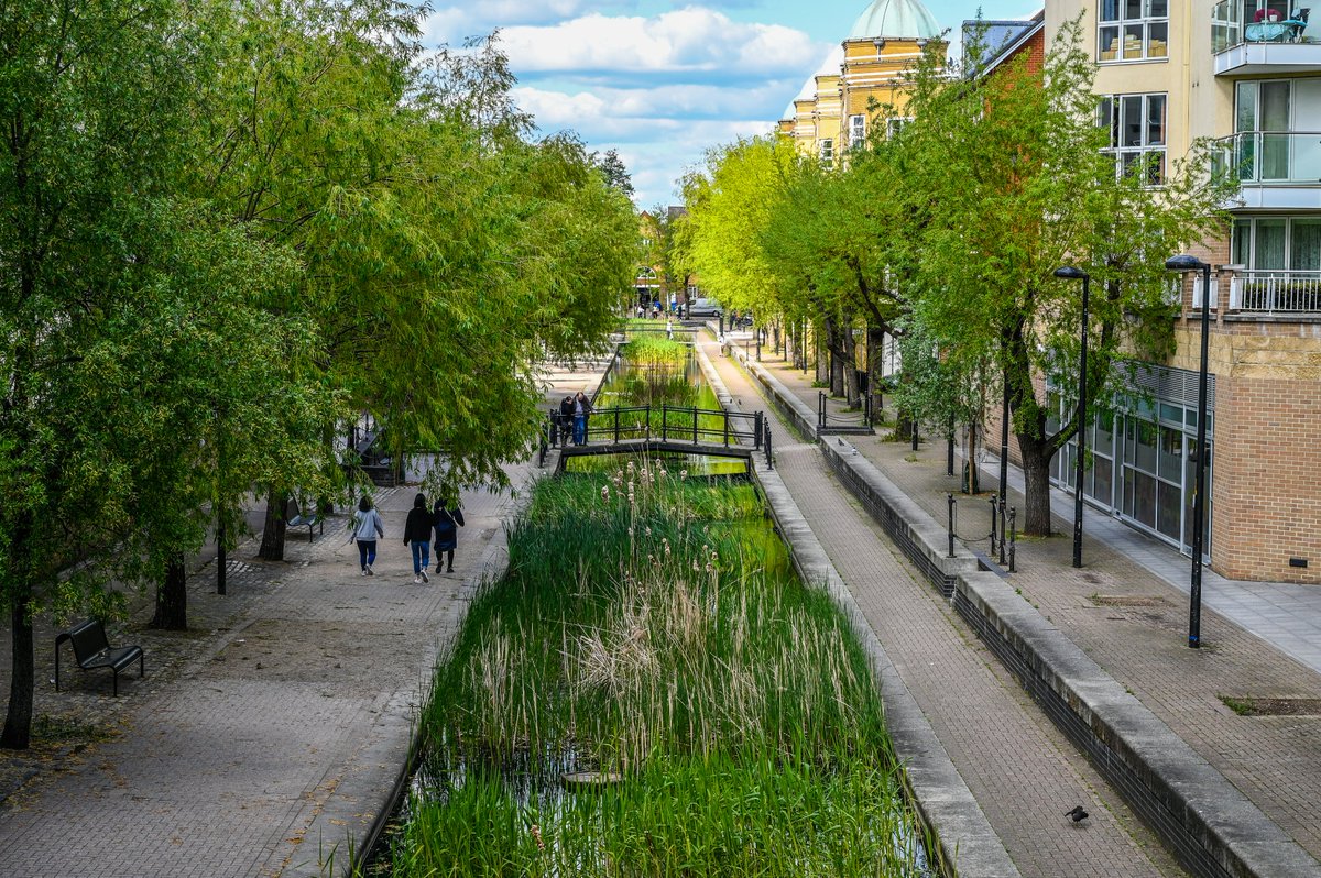 [THREAD]  #PictureOfTheDay 6th May 2020: Green Canal https://sw1a0aa.pics/2020/05/06/green-canal/