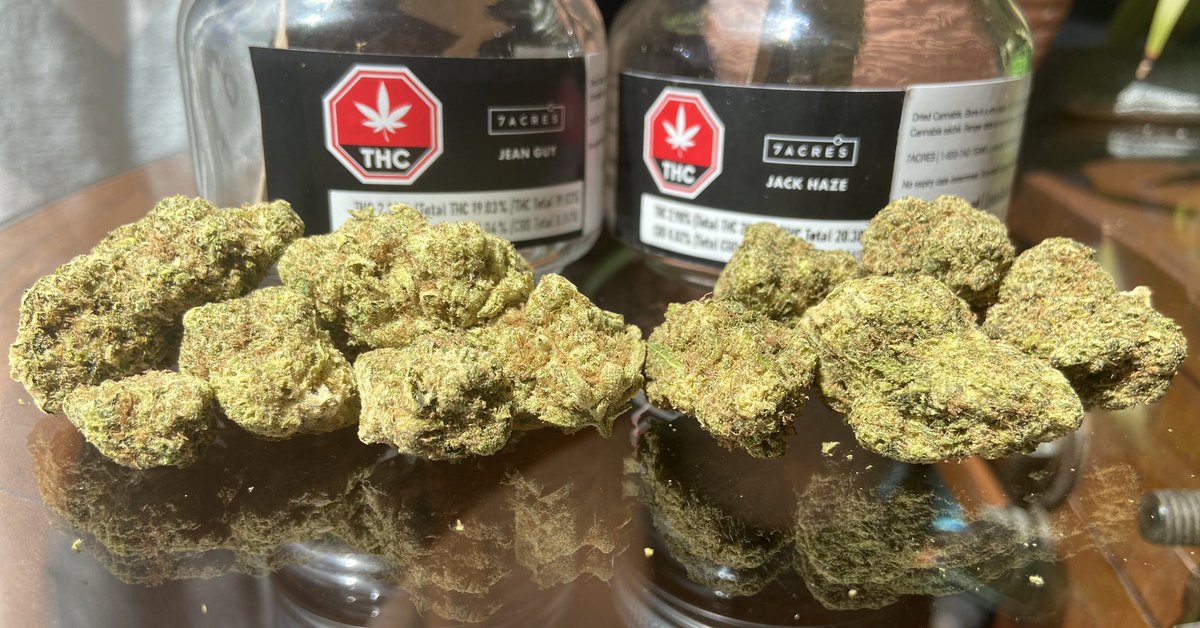 Randy Lahey tweet media