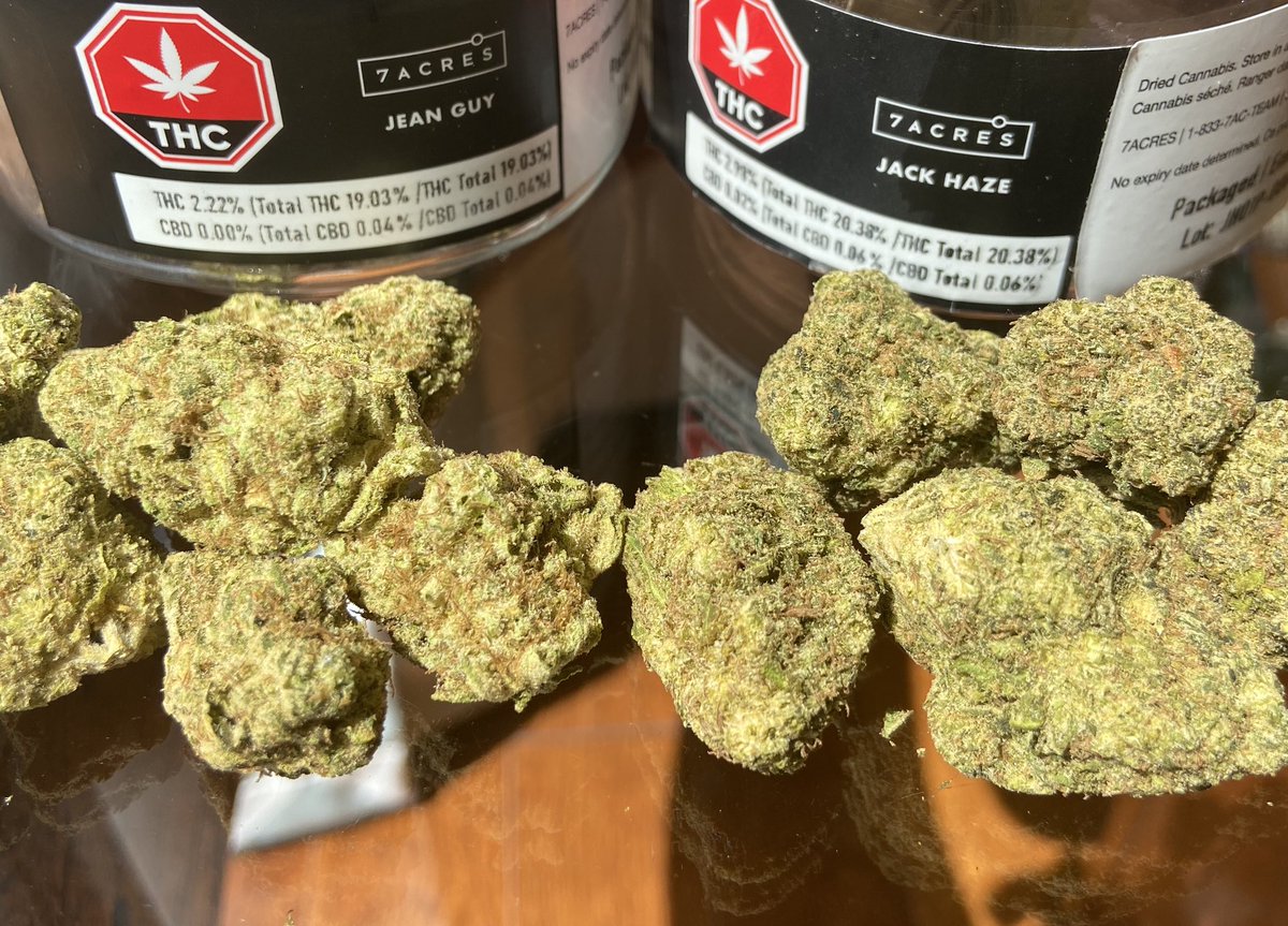 Randy Lahey tweet media