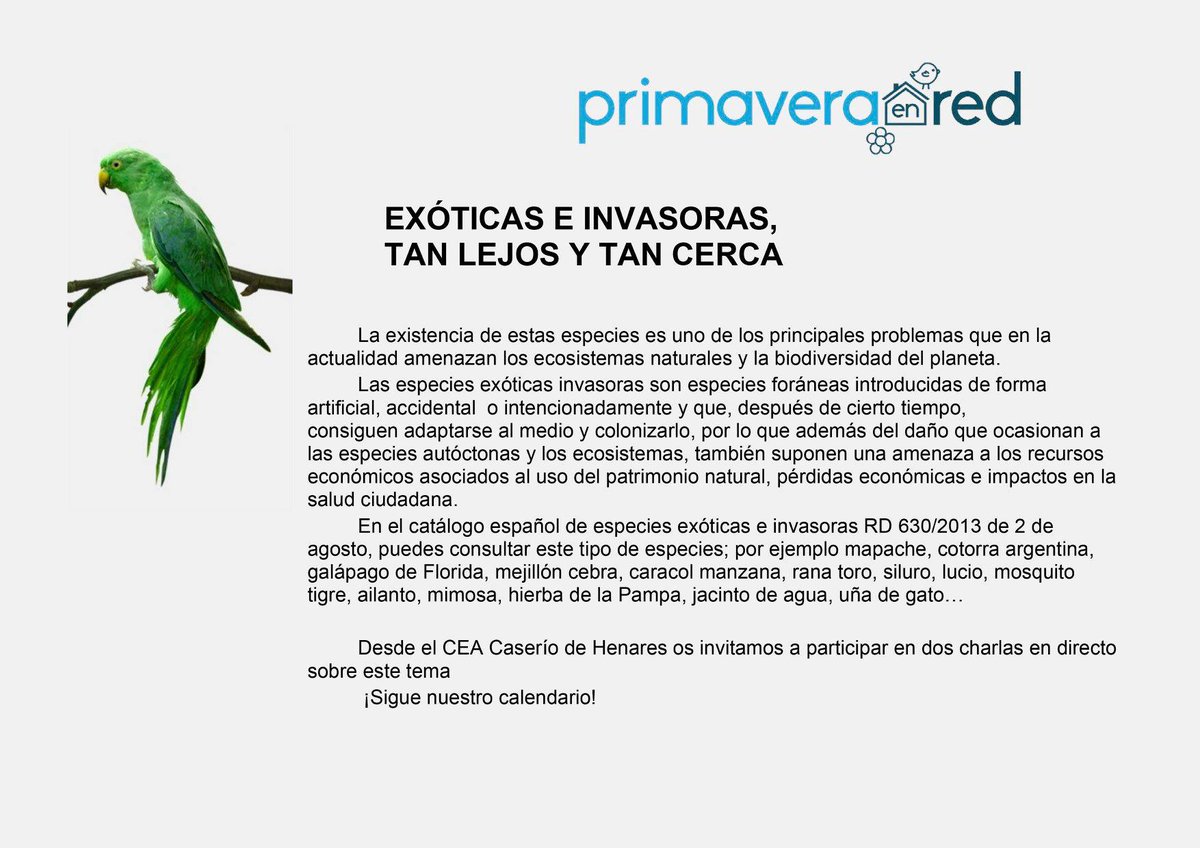 CENTROCAMPILLO's tweet photo. Nos despedimos con las dos charlas sobre #EspeciesInvasoras que nos proponen nuestros compañeros del #CEACaseriodeHenares dentro del programa #PrimaveraENRED 🦝🦜🌸🐢¡No te las pierdas!👇
#CampilleandoDesdeCasa #LosCEAsEnTuCasa #YoMeQuedoEnCasa #QuédateEnCasa #FrenaLaCurva https://t.co/YiPIjjOYYS
