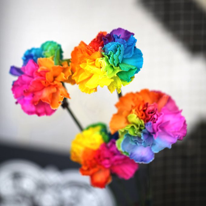 ローズショップさん の最近のツイート 15 Whotwi グラフィカルtwitter分析