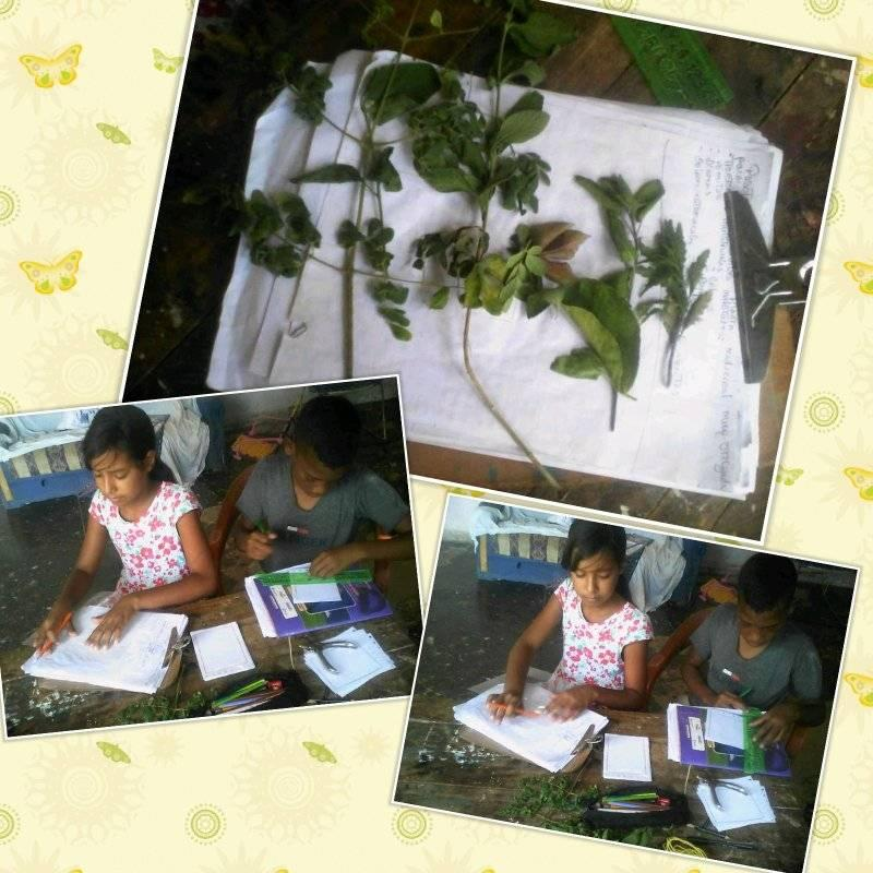 PTMS_BERMUDEZ's tweet photo. @SanchezKarenly @karsanc @SaIaZESucre @LISBE4 (01-05-20)“Esc Bolív “Las Azucenas”. Directora: María Julia Alvarez.Estudiantes: Ronnielis Márquez y Héctor Herrera Salgado.Docente: Diliber Rodríguez, 5 Grado
Actividad: Elaboración Libro de Plantas Medicinales #pedagogíaproductiva https://t.co/kT9tBtvzAi