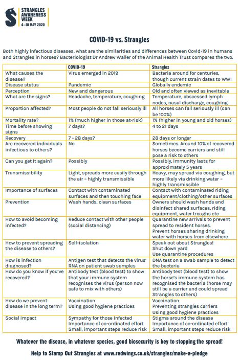 NationalEWC's tweet image. Intrigued to know how Strangles compares to Covid-19? 

Join @RedwingsHS Facebook Live conversation between Dr. Andrew Waller and leading Strangles expert vet, Nic de Brauwere at 1pm today.

We hope you can join us!

redwings.org.uk/strangles/make…

#SAW2020 #StampOutStrangles #Strangles
