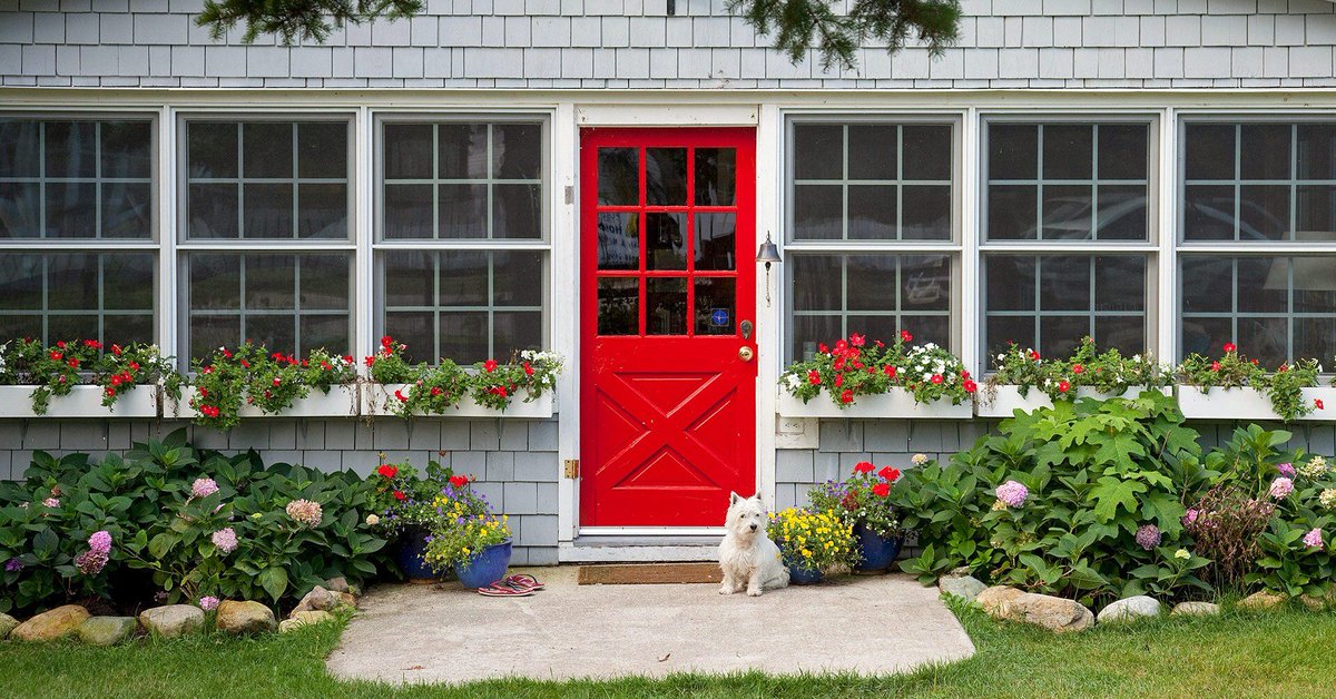sash_windows's tweet image. Fancy a #frontdoor refresh but not sure what colour to choose? Here are some expert colour tips to help you pick the perfect hue for your home: buff.ly/2quwgzv

#boxsash #windows #doors #London #SouthEast