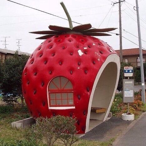 Now United ♬ tweet media