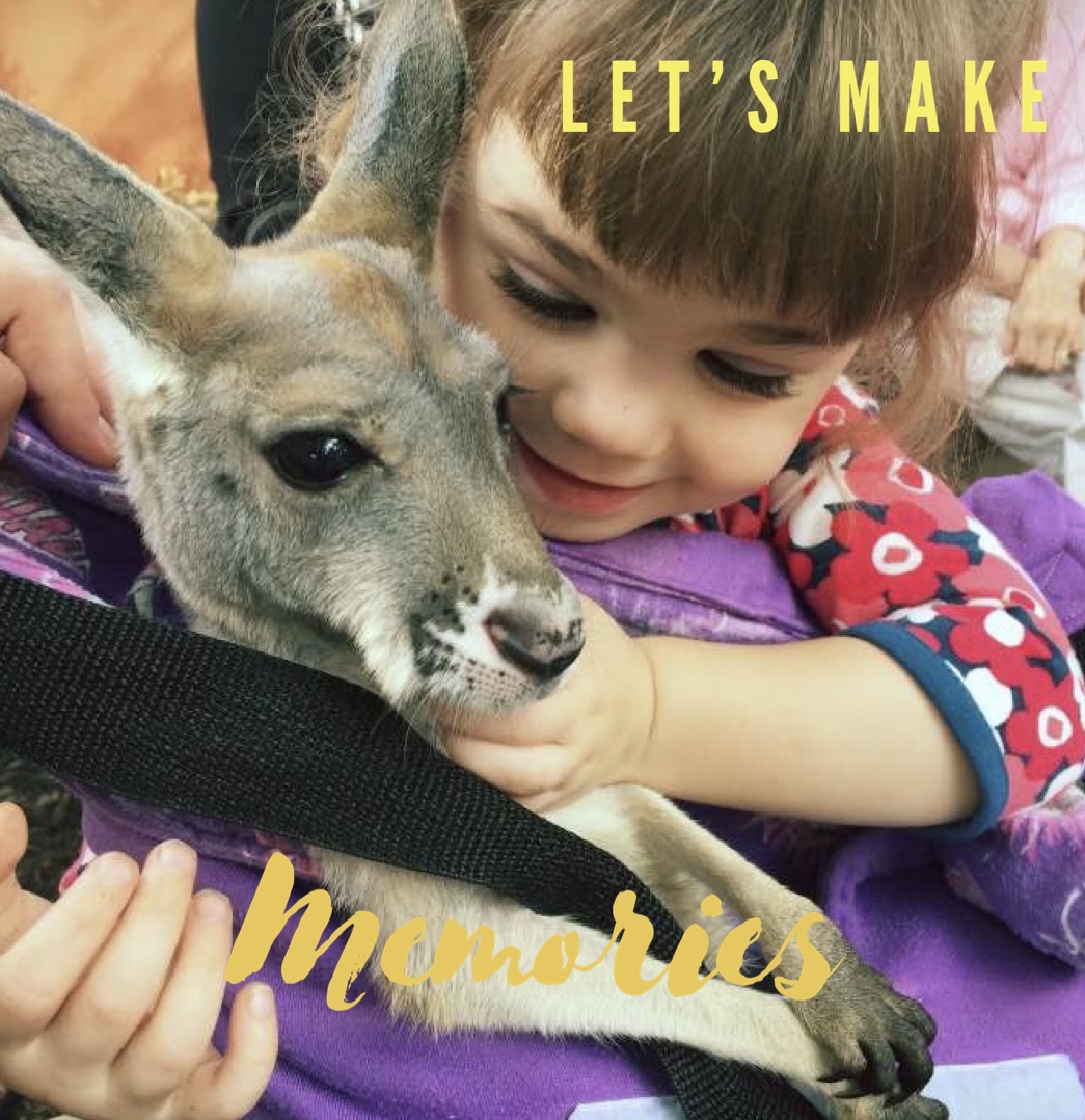 plzoobranson's tweet photo. VIP Animal Adventures are now open! Let make some memories! https://t.co/JQ4C3j1C93 https://t.co/5mK4JpI5CB