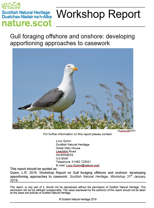 NatureScot's tweet photo. 4/4 #WSTC6 #PolicySesh There’s huge value in specialists informing policy &amp; advice decisions. Communication between gov advisory bodies &amp; research community is crucial: https://t.co/BeTu4cIM8M We'd love to hear from researchers on Larus #gull #foraging to help inform our guidance https://t.co/R1QWXcO4ei