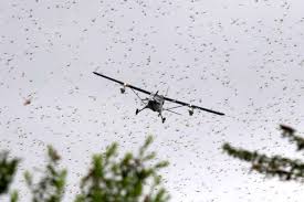 MoIB_Official's tweet photo. Turkey offers to extend support and cooperation in elimination of locusts in Pakistan https://t.co/kLzzGlcW77