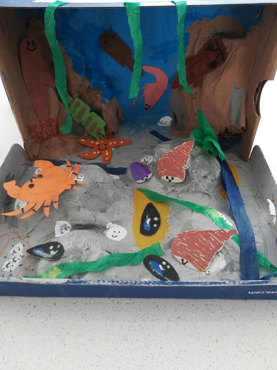 Michelle Baxter tweet media