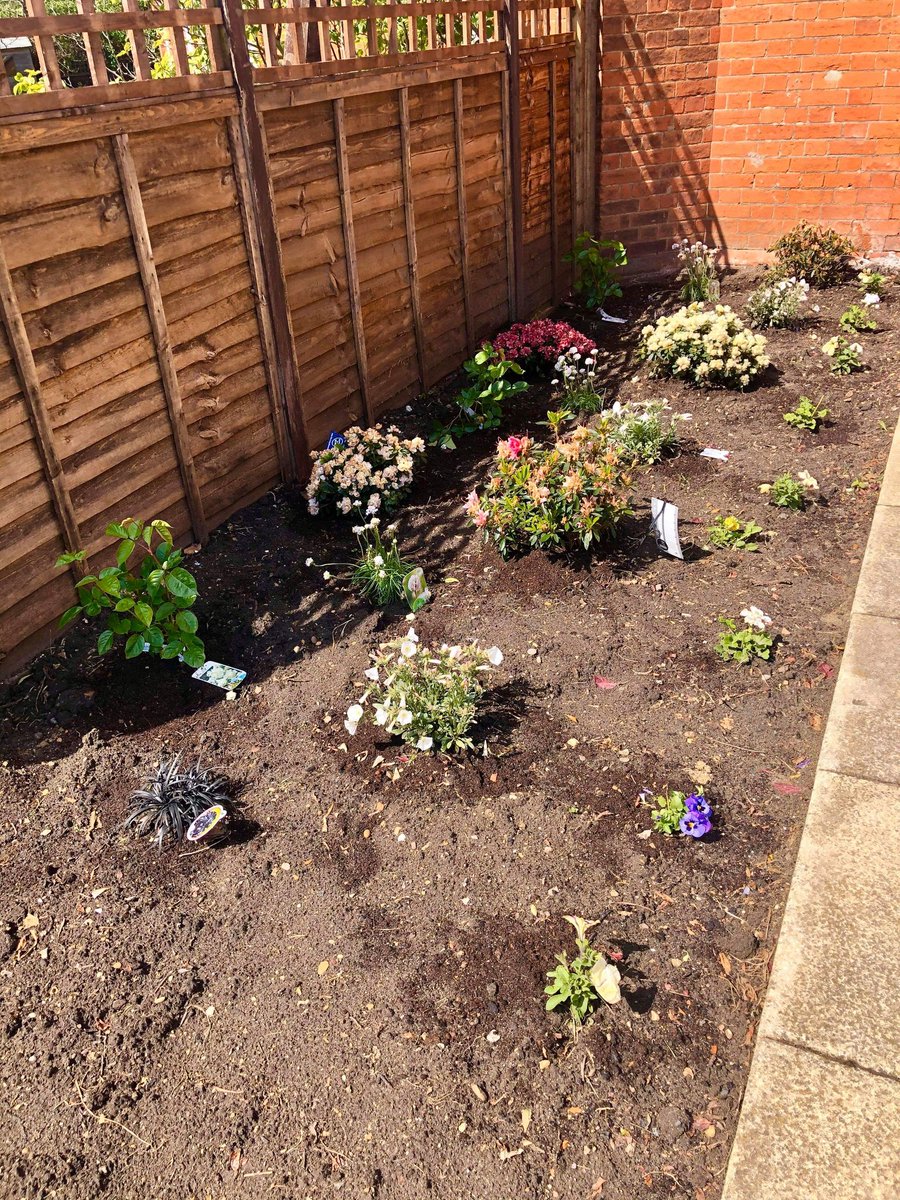 SABP_ISS's tweet photo. The Deacon unit have been making the most of the nice weather .... Gardening &sunshine is so therapeutic! Deacon would like to whole heartedly thank @TheOldMoat &parents of one of the individuals for the gorgeous plants and flowers #gardening #learningDisabiliy #mentalhealth ππ https://t.co/CrPbjpegat