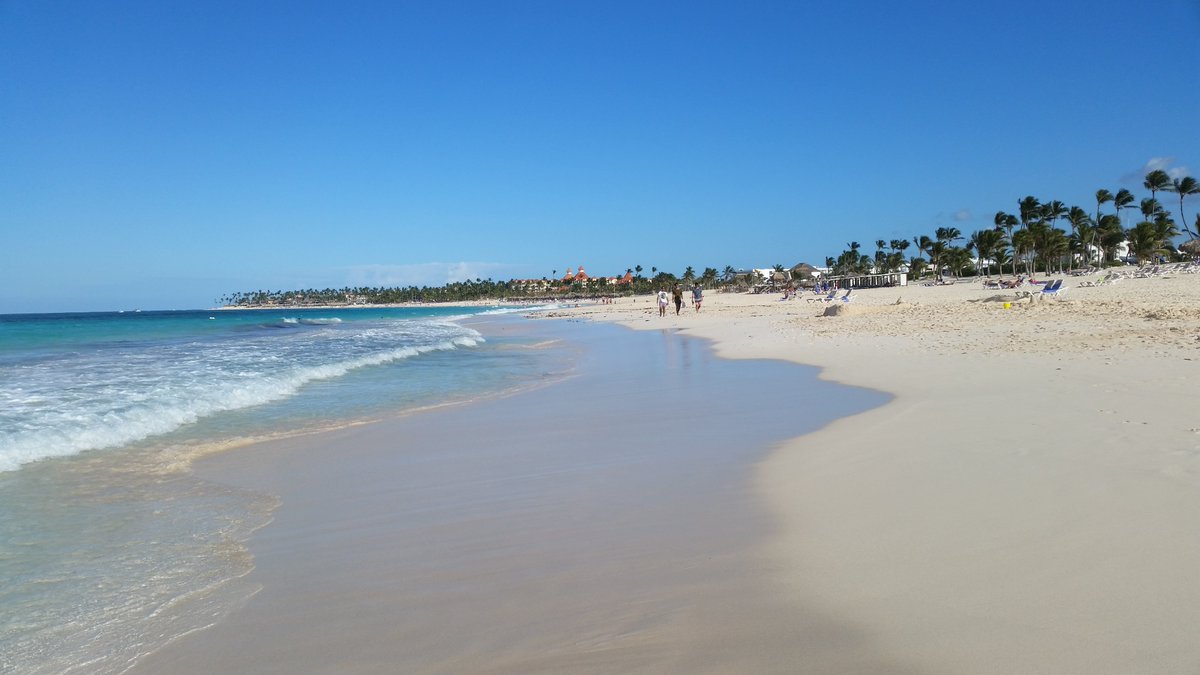 ApraMidwest's tweet image. Good morning! It&apos;s me @erejman sharing all things #ApraMidWest virtual conference related today as we gear up for the sessions tomorrow &amp;amp; Friday. I wish I was here, but the second best place is with #ApraPeeps.