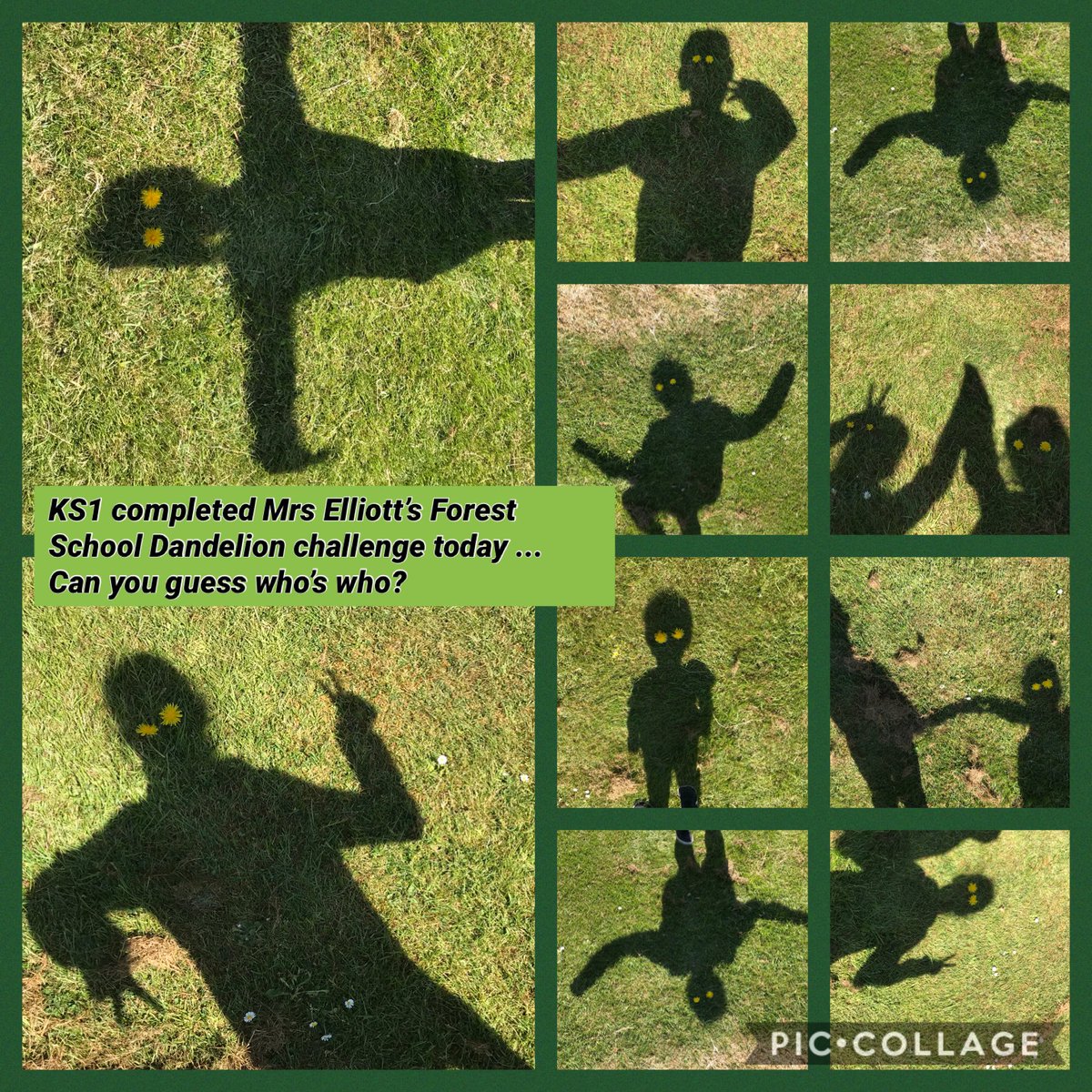 robynjpollard's tweet photo. We’ve been identifying wild flowers in KS1 today and decided to take on the Dandelion Challenge from ⁦⁦@melj2aj⁩ Great Fun ⁦@SMemorial⁩ https://t.co/DfQxInjAWg