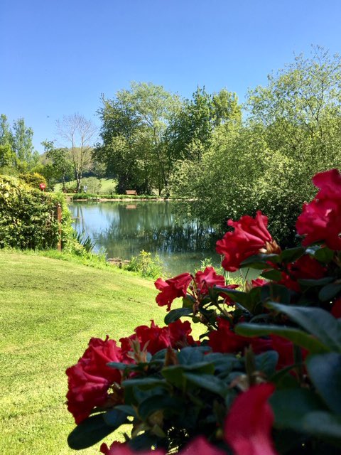 valleyviewpark's tweet photo. Another glorious day here at Valley View Holiday Park but no customers as we’re still closed to help protect our NHS #postponedontcancel #protecttourismjobs #protectcaravanjobs @BHHPA @TourismJobs2 @craig4monty @russ_george @NeilUKIP @JoyceWatsonam @HelenMaryCymru @Eluned_Morgan https://t.co/BDID2wOda3