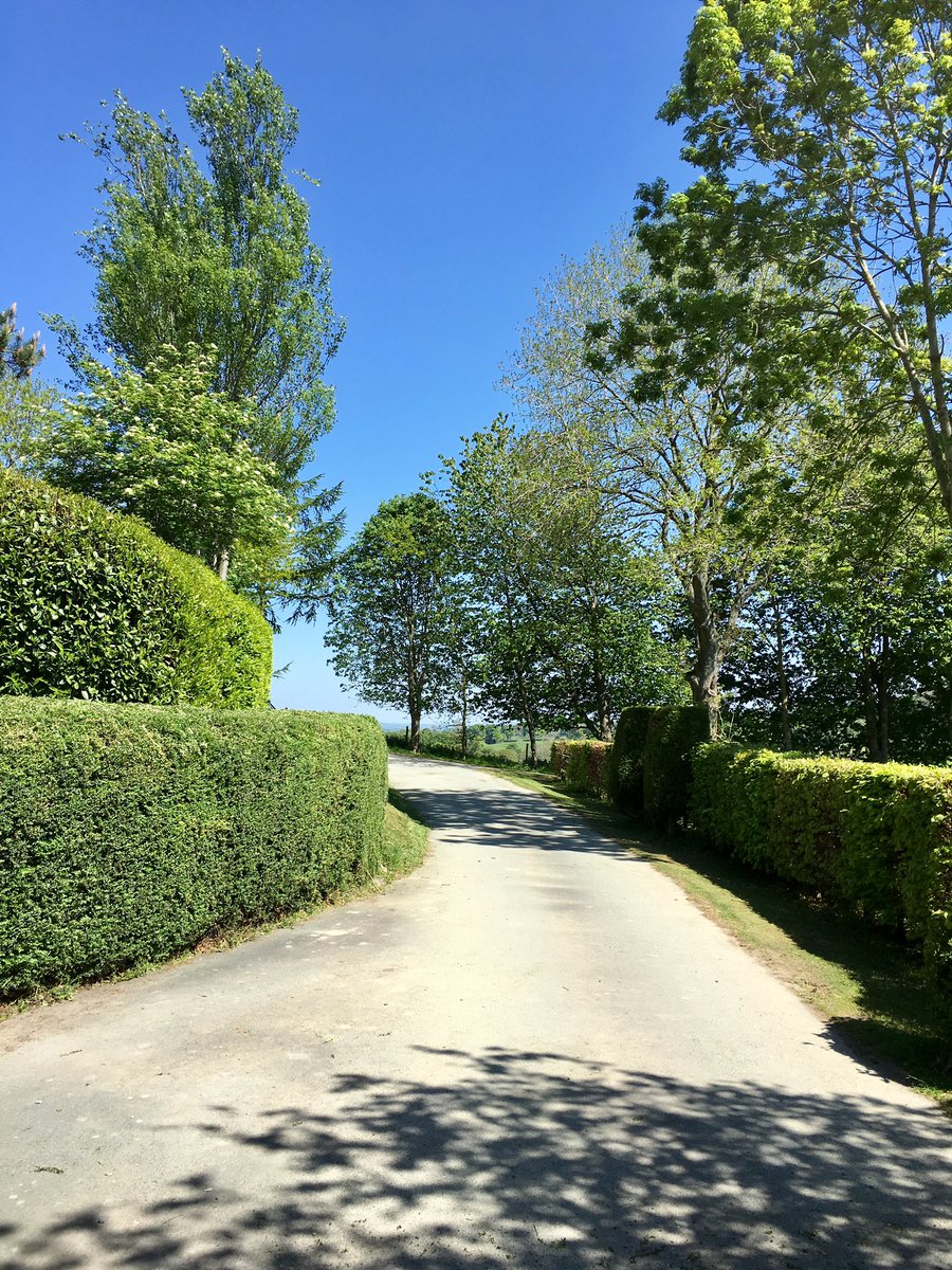 valleyviewpark's tweet photo. Another glorious day here at Valley View Holiday Park but no customers as we’re still closed to help protect our NHS #postponedontcancel #protecttourismjobs #protectcaravanjobs @BHHPA @TourismJobs2 @craig4monty @russ_george @NeilUKIP @JoyceWatsonam @HelenMaryCymru @Eluned_Morgan https://t.co/BDID2wOda3