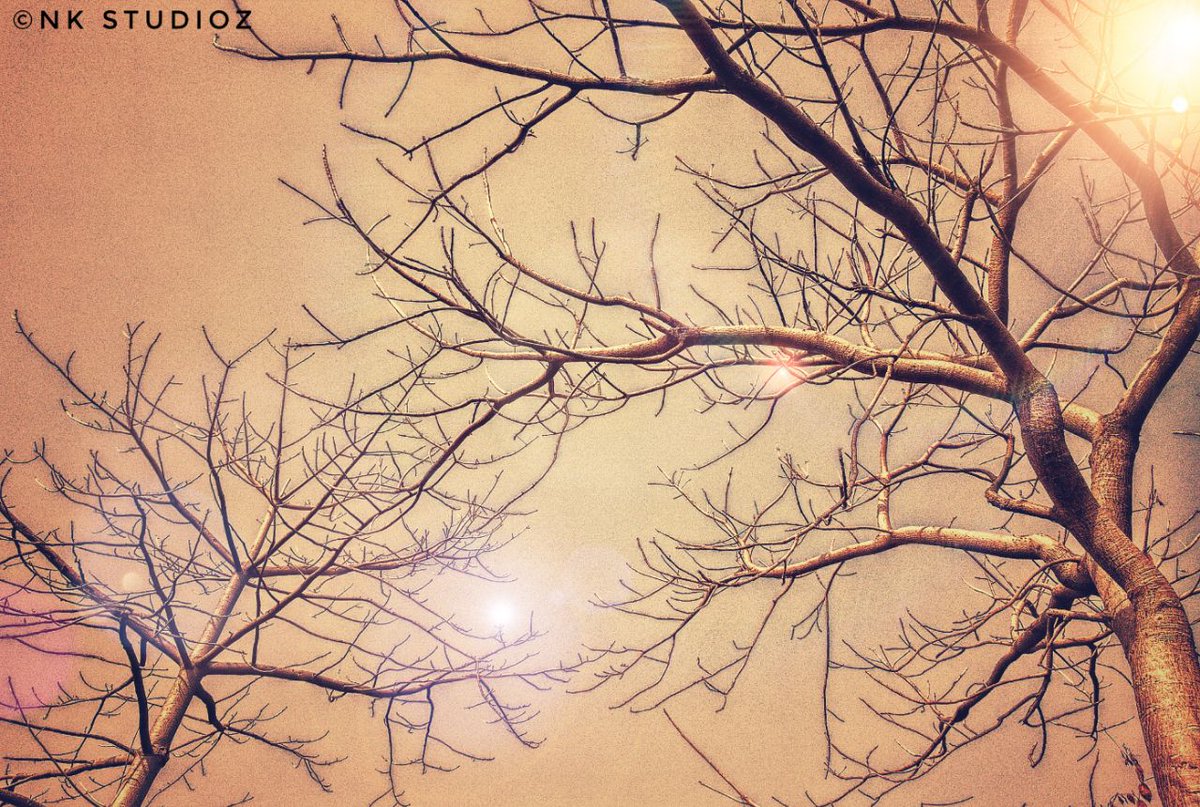 nkstudioz's tweet photo. Doomed
#travelphotography #jammu #leaf #sunsets #Explore #raw #Mountains #Sky #mountainslovers #Hiking #amazingjammu #pmgridchallenge #Nature #Travel #travellblogger #Photography #phonephotography #snapseedindia #Filmmaking #cinematography #jktourism #instatravel #photographer https://t.co/t7bOHZw8ym