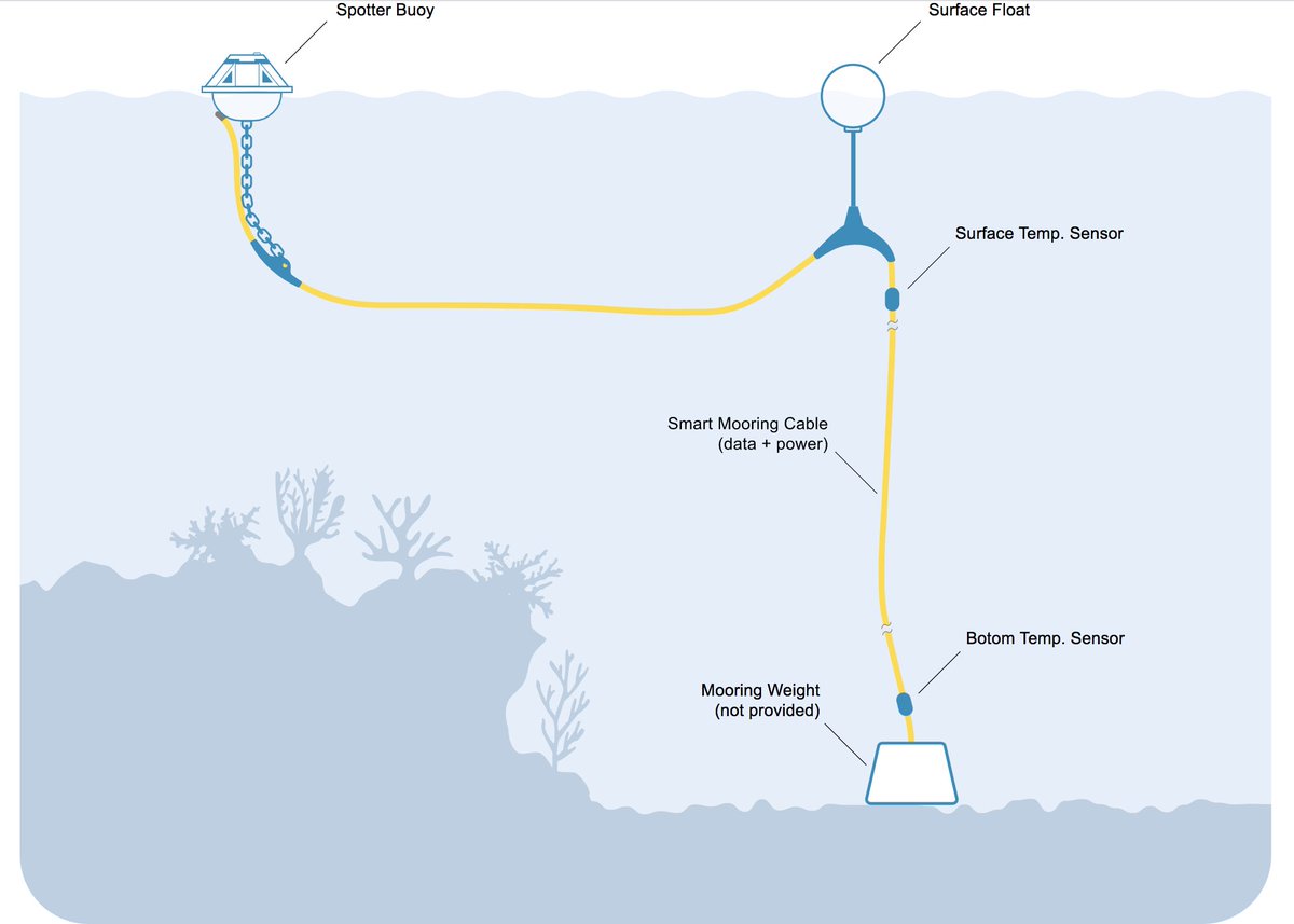 davidtlang's tweet photo. Excited to point you to a new citizen science + technology initiative to monitor coral reefs around the world: 
https://t.co/aWxF1qIMIL

For your participation, the team will send you a @sofarocean Spotter buoy to measure temperature in real time (at the reef level). https://t.co/jzlQmb35wT