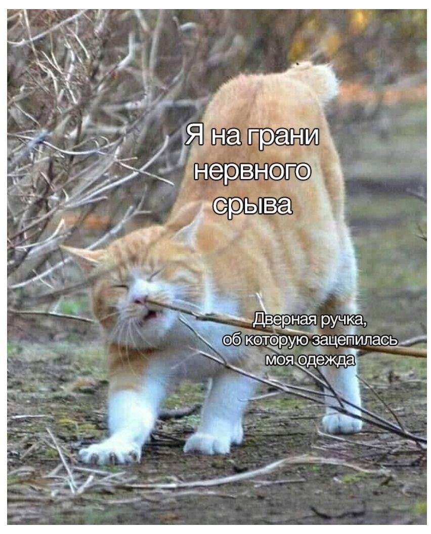 RussianMemesLtd's tweet photo. Me on the verge of a nervous breakdown

The doorknob that caught my clothes https://t.co/AHyYueY0WT
