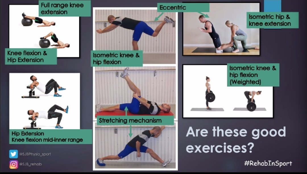 ColmOHare_'s tweet photo. @SJBPhysio_sport always question why you choose each exercise? especially consider contraction type throughout rehab..so much can be varied to get optimal load #rehabinsport https://t.co/RSTYsMOwAL