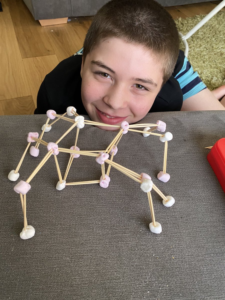 LeighAnneKerr's tweet photo. @Mrs_Paddon J’s STEM marshmallow building activity - from spider to bridge 💙 https://t.co/YgN1YkTs9I
