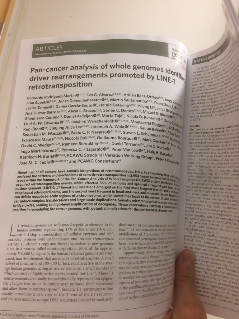 MobileGenomes's tweet photo. It is amazing to see our Nature Genetics paper finally printed. It is real!!!!
@sangerinstitute @UniversidadeUSC @cimususc
#cancer #genomics #retrotransposition https://t.co/erqZbRP6i4