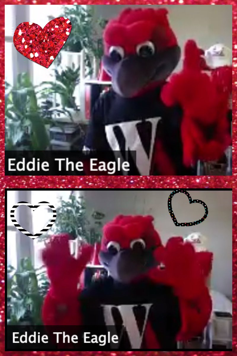 Edmison's Eaglets tweet media