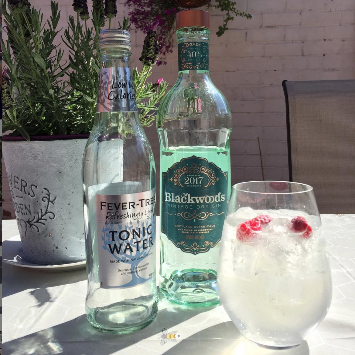 BlackwoodsGin's tweet photo. Beautiful afternoons pair best with heavenly G&amp;Ts 🌞🍸 #BlackwoodsGin https://t.co/a3cNeID0jm