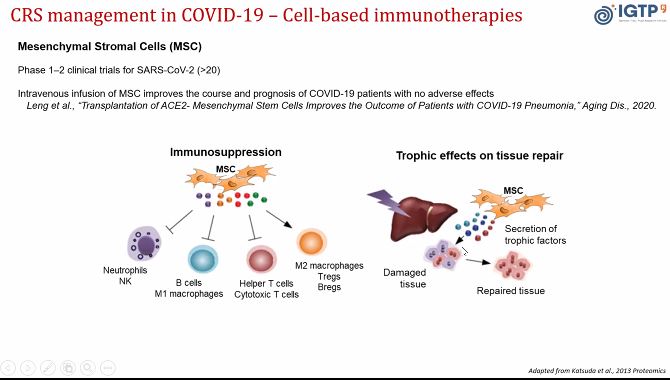 SCB_iec's tweet photo. Dr. Marta Monguió @MMonguio from @GTRecerca presents her project based on the immunomodulatory and regenerative properties of mesenchymal stromal cells #MSC for #COVID_19 treatment. #SCBCoronavirusSymposium https://t.co/WoC113wQLF
