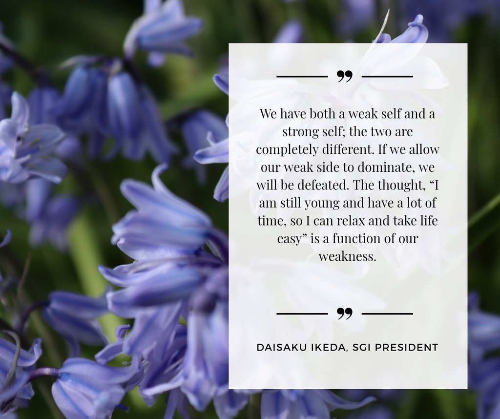 StudioValerie's tweet photo. Today's #message!  Photo by Valerie's Photography Studio! #valeriesphotographystudio

 #valeriesnatural #margateevents #socialdistancing #lockdown2020 #covid19 #quarantine
#motivationalquotes #meditation #buddhists #veganblogger #vegancommunity #govegan #nichirenbuddhism https://t.co/NcCpJZhB5t