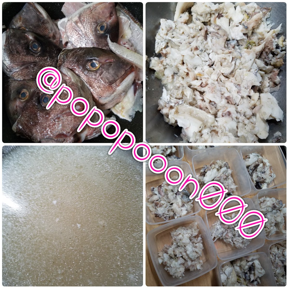 popopooon000's tweet photo. 🐠お魚ごはん🐠🐠✨
鯛のアラが安かったから2パック買ったら多すぎて骨取るの大変だった😰

🌿デトックスハーブと、ミライノショウガを入れてグツグツ

スープは煮こごりみたいにゼリーになるから不思議

#愛犬 #犬ごはん #手作り犬ごはん #食物アレルギー #アレルギー犬 #アトピー犬 https://t.co/cnQ2zYbdtn