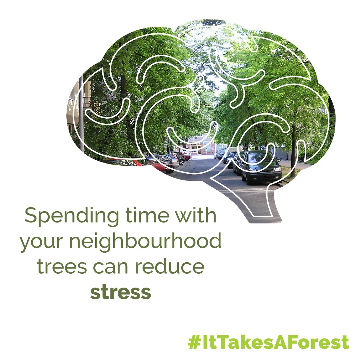 #DYK that exposure to #greenspace can lead to reduced levels of #depression, #anxiety &amp; #stress? To get a much-needed dose of #green during this difficult time, take a #socialdistance walk with your neighbourhood #trees! #MentalHealthWeek #ItTakesAForest