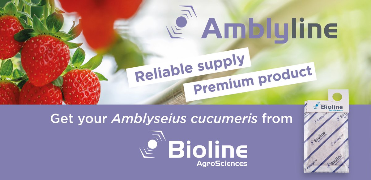 Bioline_AS_Int's tweet photo. #Growers : Looking for reliable supply and premium product ? Get your #Amblyseius #cucumeris from @Bioline_AS_Int !
💡Contact your local advisor for more information 👉 https://t.co/P0bKBZQieU https://t.co/K1KB7ho7zL