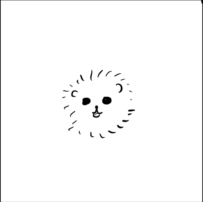 포메라니안 