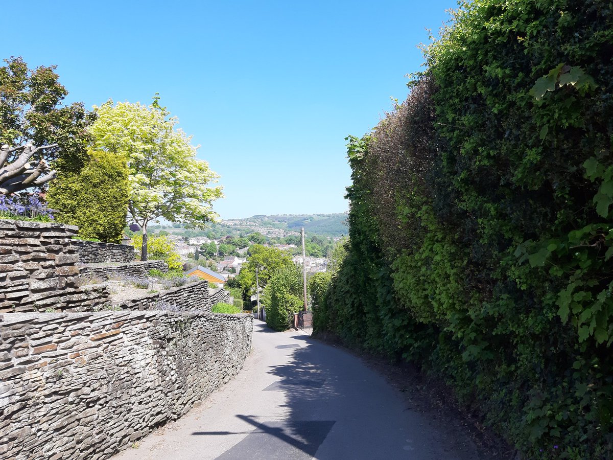 GeoffCripps's tweet photo. Today I chose this path ...Mynd am dro #Trecelyn https://t.co/50rMA9JgY4