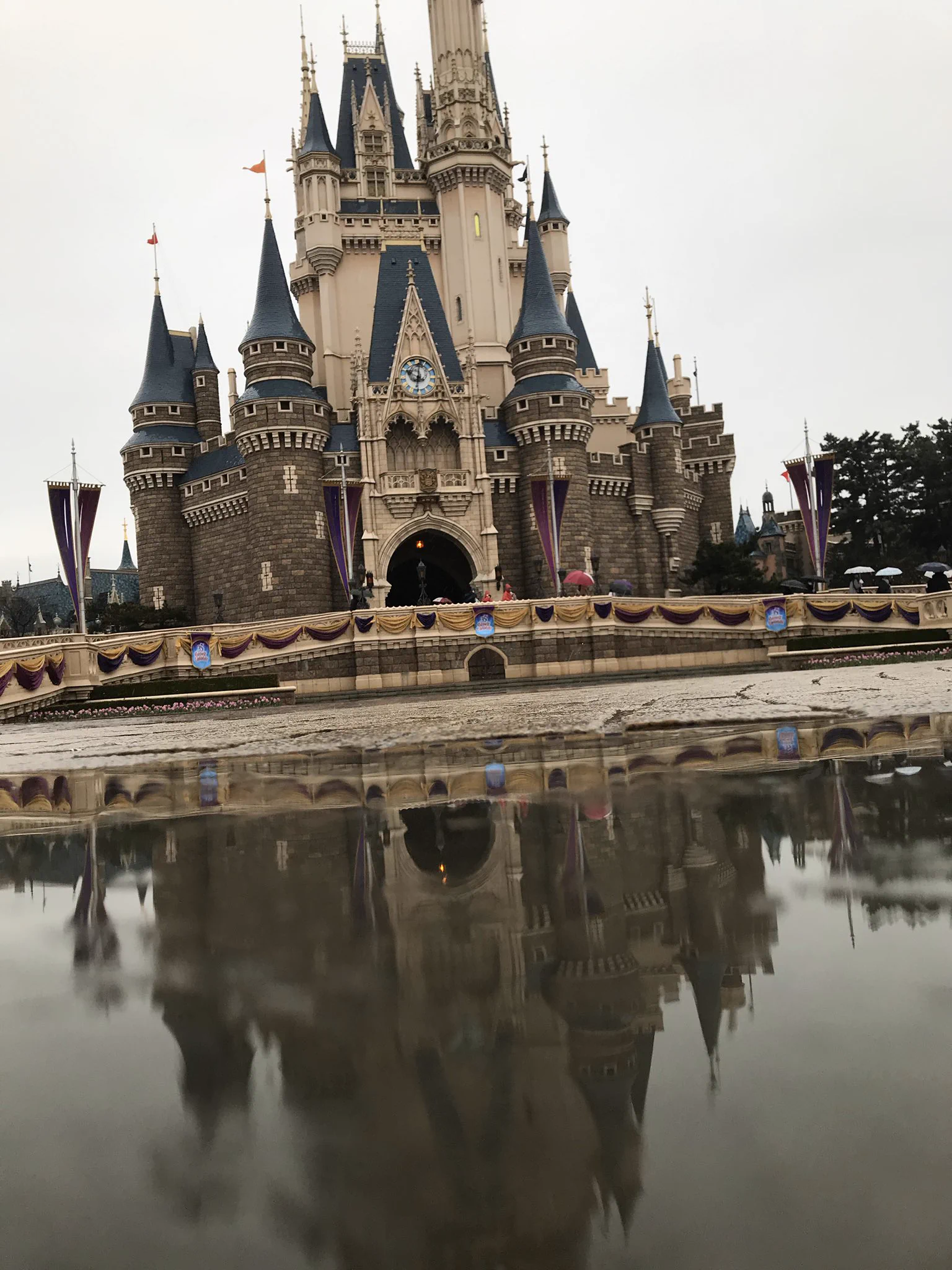 @kah05disney 雨の日になるとやりたくなるんですけど、周りの目とか少し恥ずかしくて上手く撮れないのでコツ教えて欲しいです。 