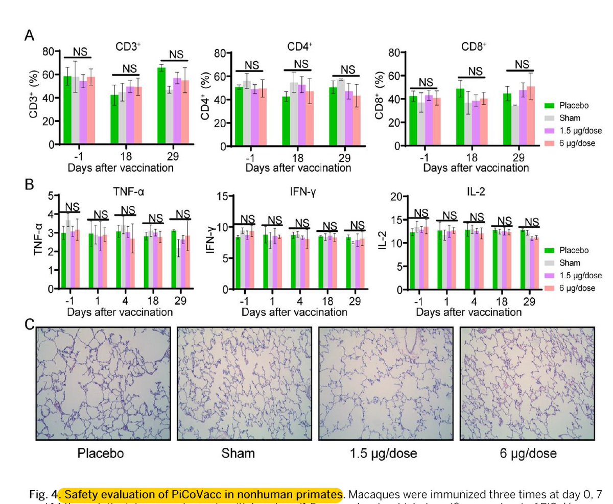 Just published <a href="/ScienceMagazine/">Science Magazine</a> is a #SARSCoV2 vaccine tested in macaques (and other species) with very encouraging efficacy and safety data
science.sciencemag.org/content/early/… We've got some real promising (now multiple paths) vaccine velocity👍
H/T <a href="/hholdenthorp/">Holden Thorp, dormant account</a>