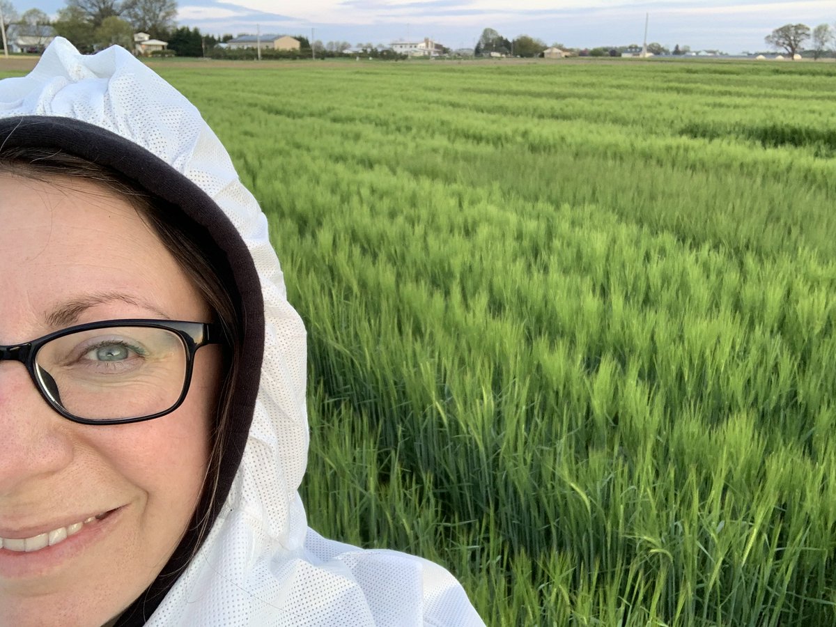 psuPPEM's tweet photo. 🧫 #InsidePPEM: Out in fields of barley, spraying fungicide studies at the crack of dawn… I spend much more time in a field than the lab, and I wouldn't trade it.  This work with @PSU_PlantEpidem helps keep local #microbrew toxin-free for you! @USWBSI @PACropDoc https://t.co/O4wnDJDvC6