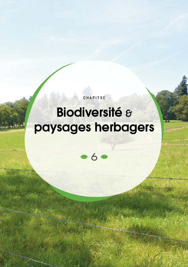 Ecobiose's tweet photo. 📣Le chapitre sur les rôles de la #biodiversité dans les paysages herbagers (prairies, bocages...) de @NvelleAquitaine est disponible 🙃

👉Retrouvez le, ainsi que les autres chapitres du rapport ici: https://t.co/41MSs94mha https://t.co/FzzO91ZzSo