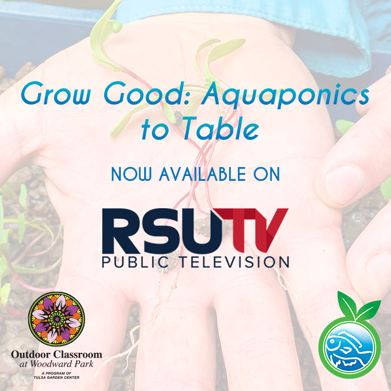 SAquaponic's tweet photo. #ICYMI: The live stream we brought you last week with our friends @OCWPstem  is now available on @RSUPublicTV's website and YouTube channel! Explore #aquaponics from the comfort of your own home with this session of #STEM educational programming. 📚✏️🔬 https://t.co/CbOVWJ0S7r
