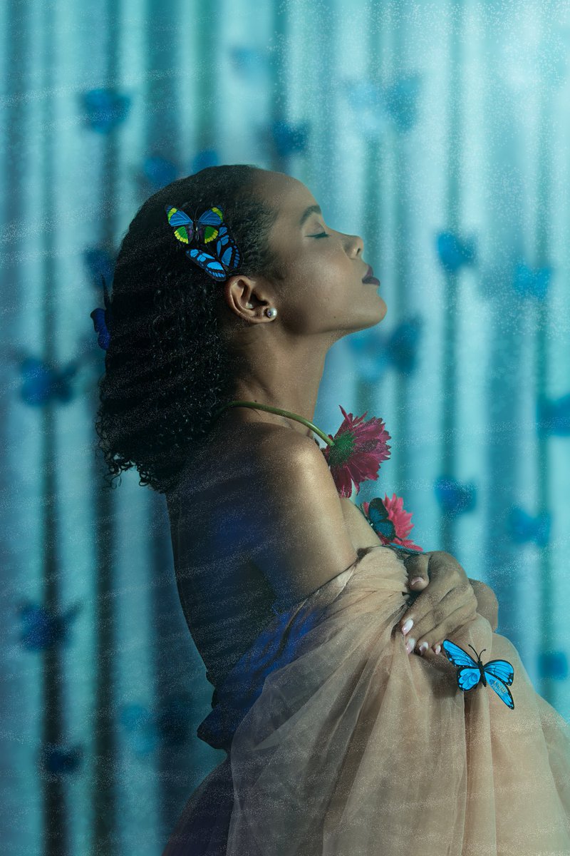 csbbphotos's tweet photo. A ColiasCroceus dipped in blue 🦋
#CSBBPHOTOS https://t.co/6RDMb0QHCG