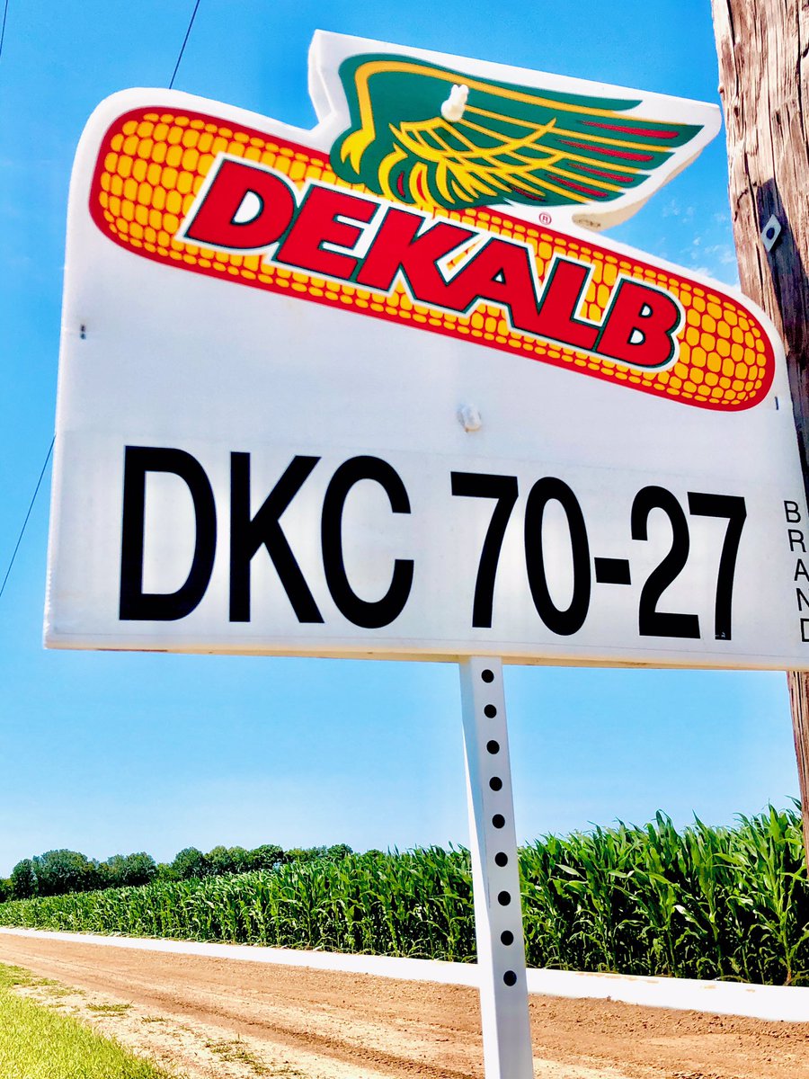 Chad Nelson tweet media